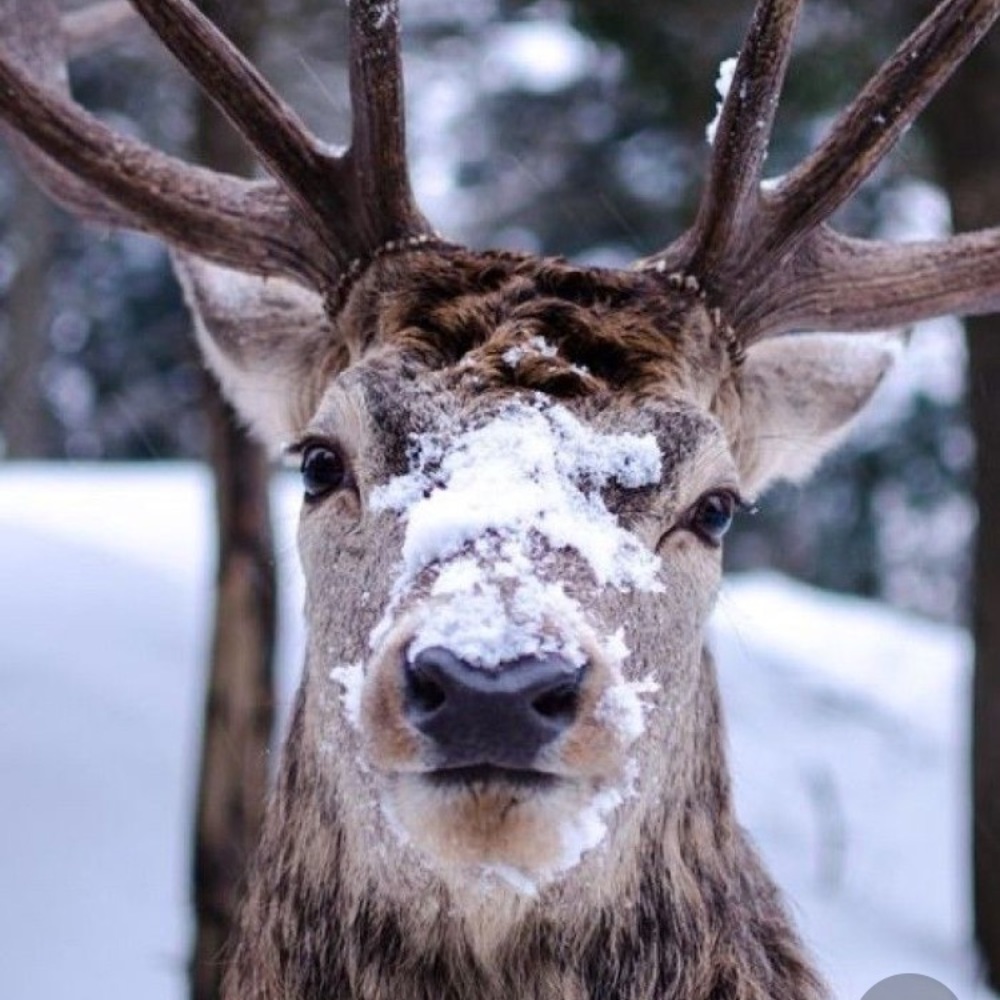 Meet your Posher, Kristy